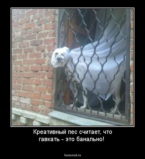 Креативный пес считает, что гавкать - это банально!