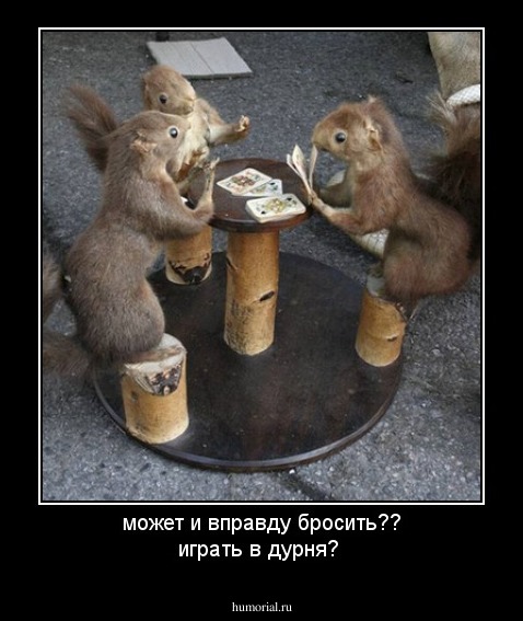 может и вправду бросить?? играть в дурня?