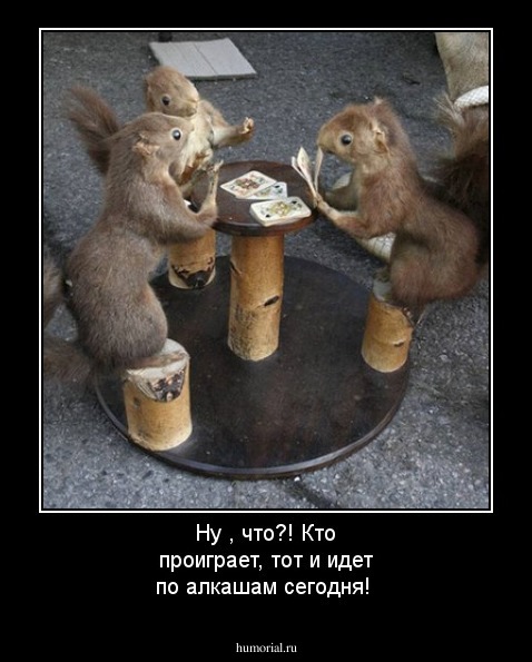 Ну , что?! Кто проиграет, тот и идет по алкашам сегодня!
