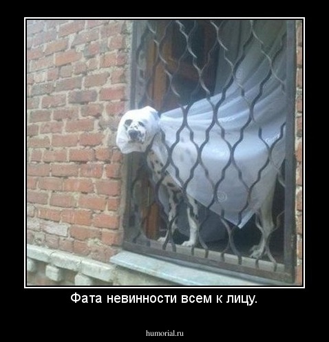 Фата невинности всем к лицу.
