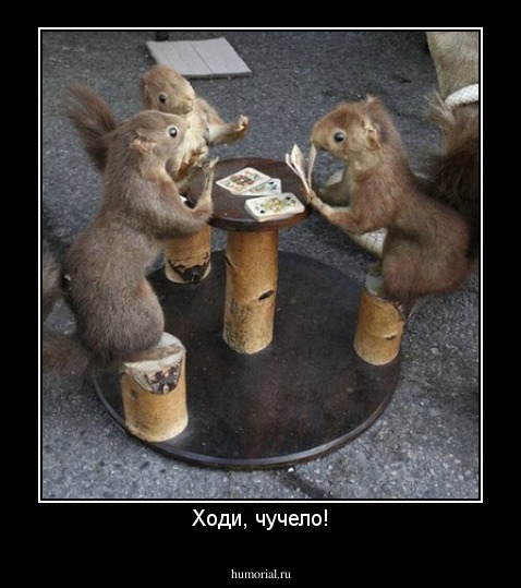 Ходи, чучело!