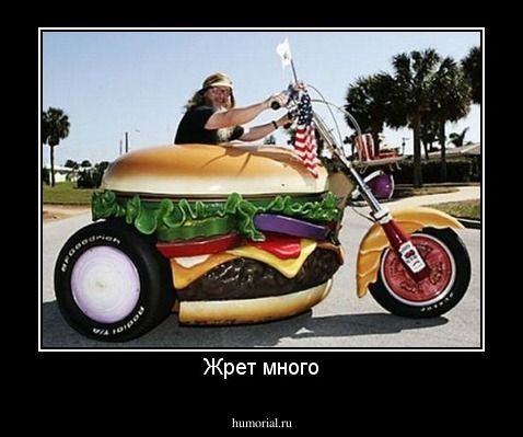 Жрет много
