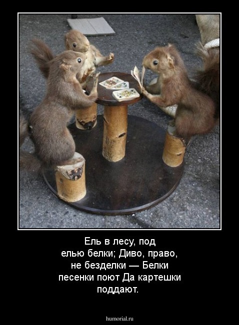 Ель в лесу, под елью белки;
Диво, право, не безделки —
Белки песенки поют
Да картешки поддают.

