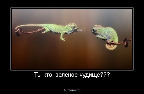 Ты кто, зеленое чудище???