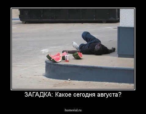 ЗАГАДКА: Какое сегодня августа?