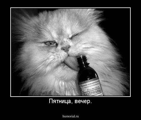 Пятница, вечер.