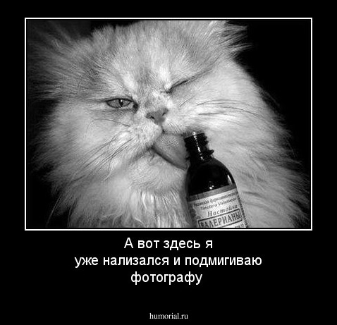 А вот здесь я уже нализался и подмигиваю фотографу