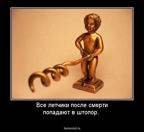 Все летчики после смерти попадают в штопор.