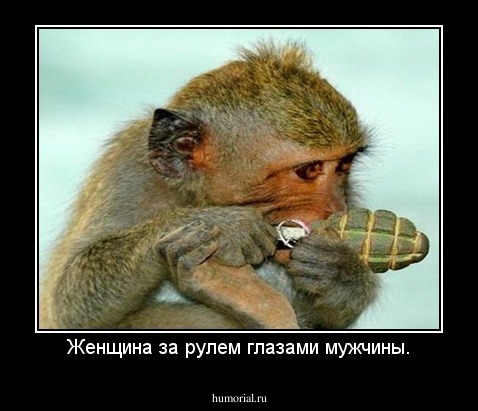 Женщина за рулем глазами мужчины.