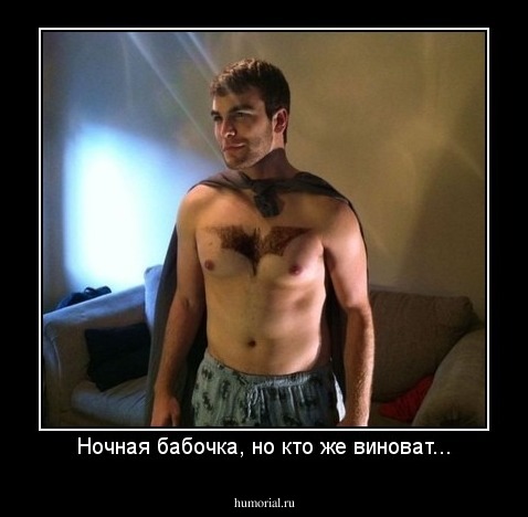 Ночная бабочка, но кто же виноват...