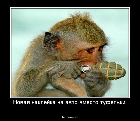Новая наклейка на авто вместо туфельки.