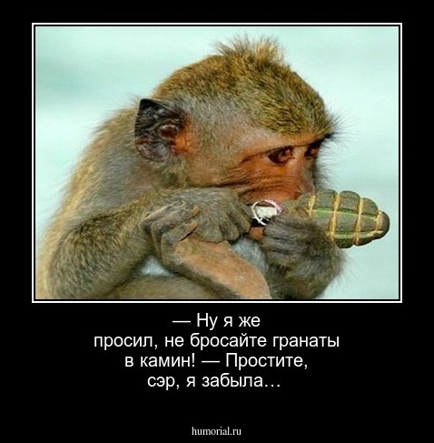 — Ну я же просил, не бросайте гранаты в камин!
— Простите, сэр, я забыла…