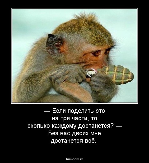 — Если поделить это на три части, то сколько каждому достанется?
— Без вас двоих мне достанется всё.