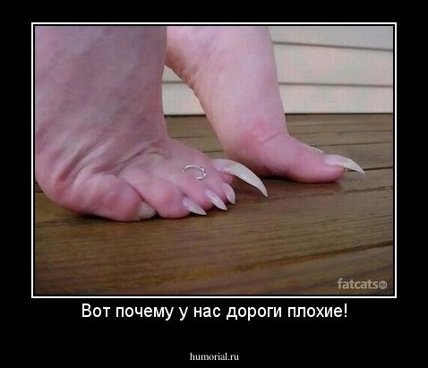 Вот почему у нас дороги плохие!