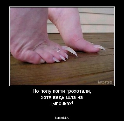 По полу когти грохотали, хотя ведь шла на цыпочках!