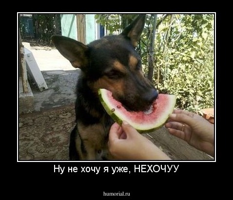 Ну не хочу я уже, НЕХОЧУУ