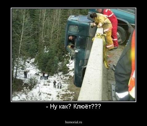 - Ну как? Клюёт???