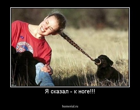 Я сказал - к ноге!!!