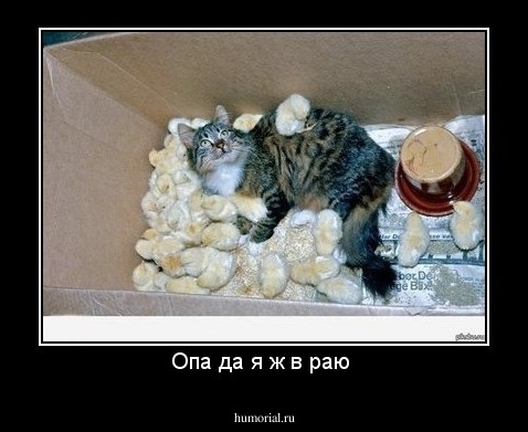 Опа да я ж в раю 