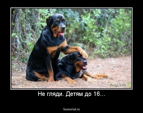 Не гляди. Детям до 16...