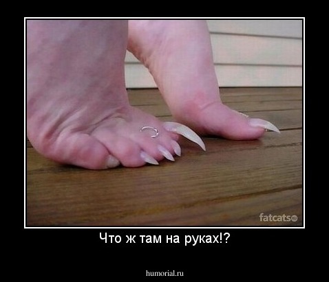 Что ж там на руках!?