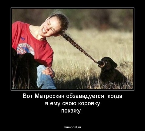 Вот Матроскин обзавидуется, когда я ему свою коровку покажу.