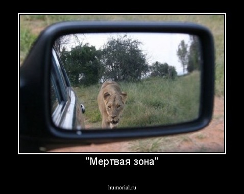 "Мертвая зона"