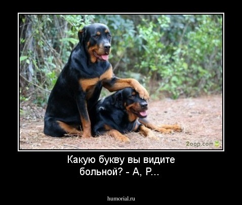 Какую букву вы видите больной?

- А, Р...