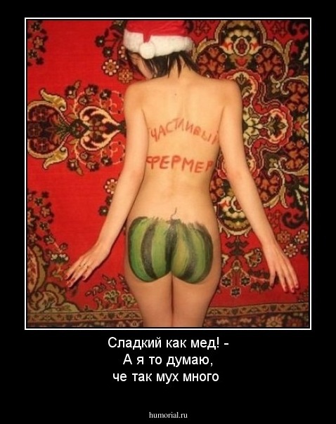 Сладкий как мед! - А я то думаю, че так мух много