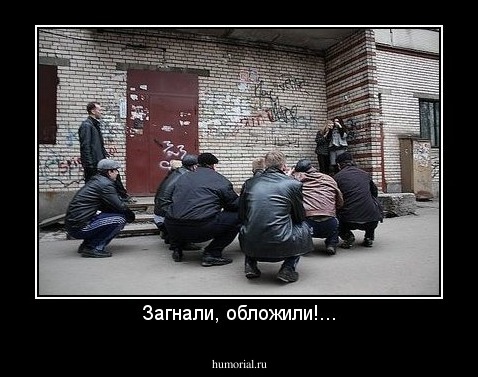 Загнали, обложили!...