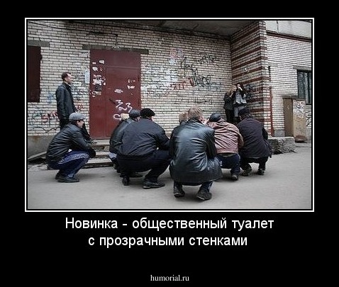 Новинка - общественный туалет с прозрачными стенками