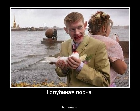 Голубиная порча.