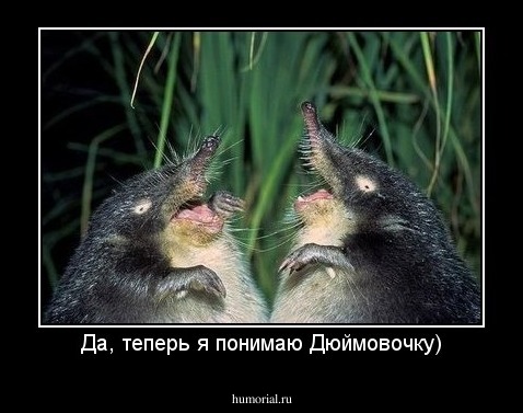 Да, теперь я понимаю Дюймовочку)