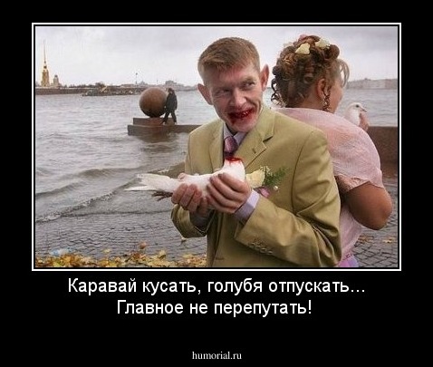 Каравай кусать, голубя отпускать... Главное не перепутать!