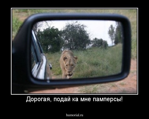 Дорогая, подай ка мне памперсы!
