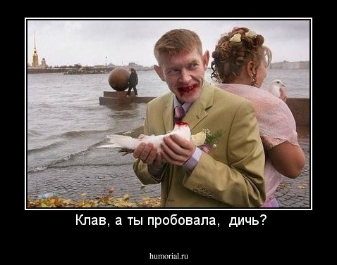  Клав, а ты пробовала,  дичь?