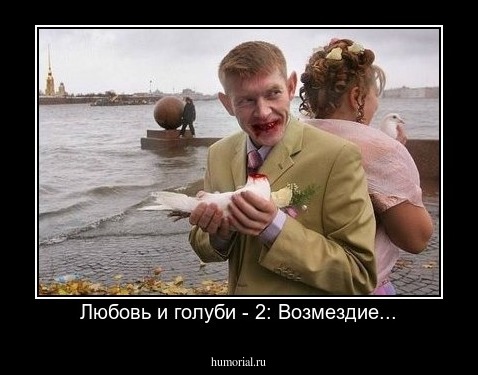 Любовь и голуби - 2: Возмездие...