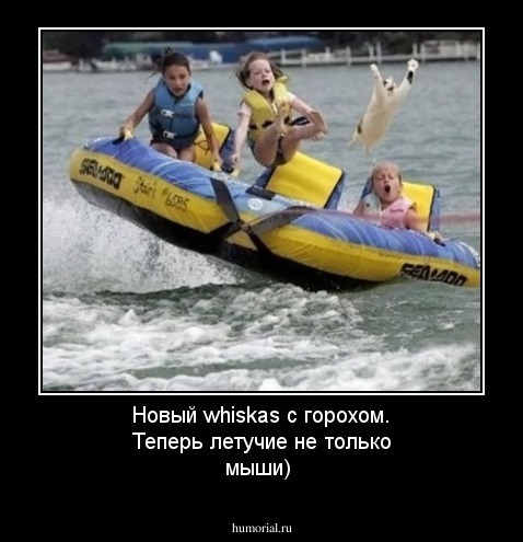 Новый whiskas с горохом. Теперь летучие не только мыши)