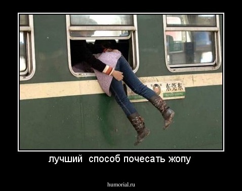 лучший  способ почесать жопу 