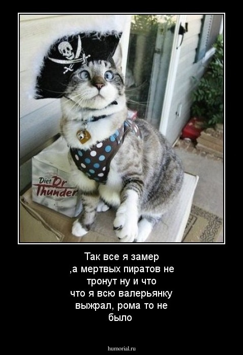 Так все я замер ,а мертвых пиратов не тронут ну и что  что я всю валерьянку выжрал, рома то не было 