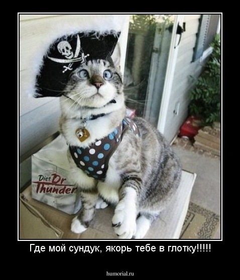 Где мой сундук, якорь тебе в глотку!!!!!