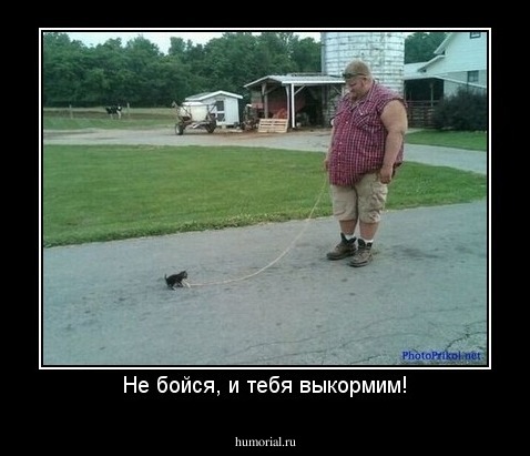 Не бойся, и тебя выкормим!