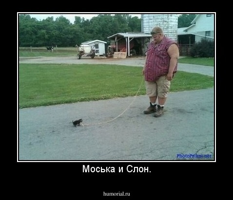Моська и Слон.