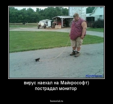вирус наехал на Майкрософт) пострадал монитор