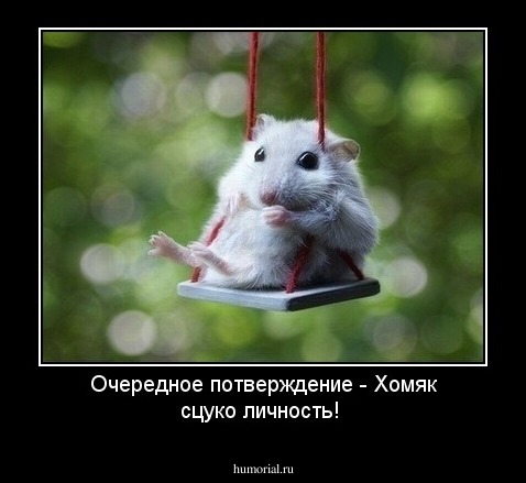 Очередное потверждение - Хомяк сцуко личность! 