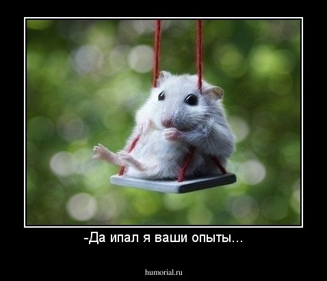 -Да ипал я ваши опыты...