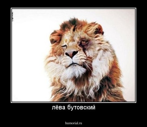 лёва бутовский
