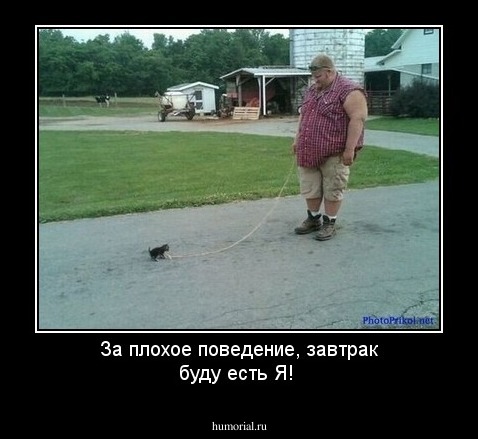 За плохое поведение, завтрак буду есть Я!