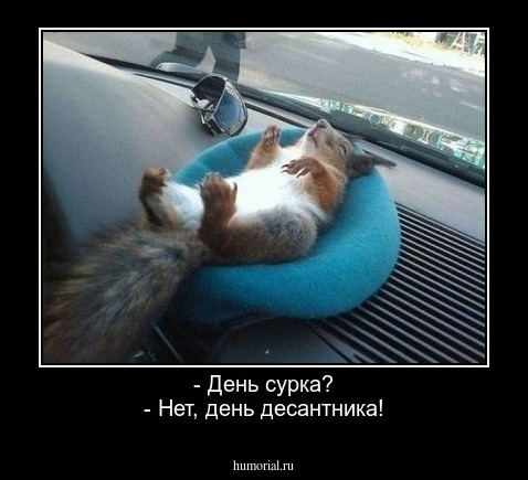 - День сурка?
- Нет, день десантника!
