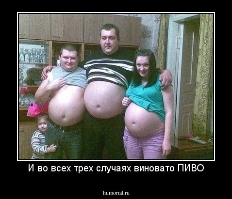И во всех трех случаях виновато ПИВО
